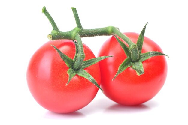 Frische Tomaten