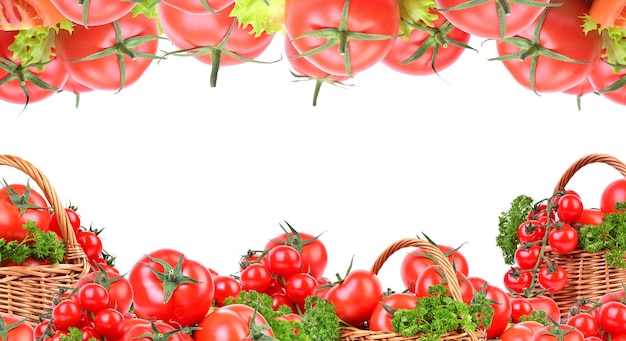 Frische Tomaten