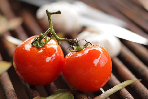 frische Tomaten