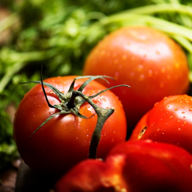 Frische Tomaten