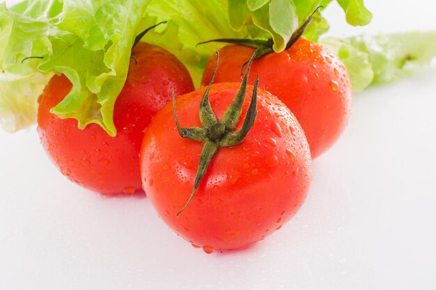 frische Tomaten