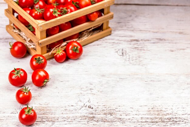 frische Tomaten