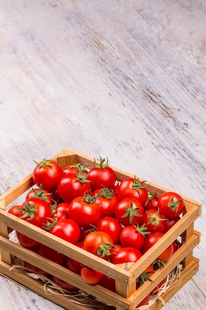 frische Tomaten