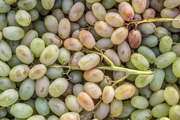 Frische Trauben werden auf dem Markt verkauft