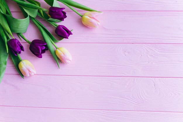 Frische Tulpen auf einem hölzernen Hintergrund Draufsicht und flache Lage.