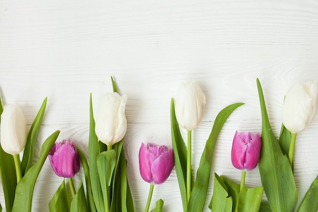 Frische Tulpen auf einem weißen hölzernen Hintergrund für Muttertag