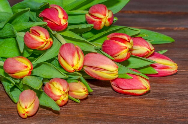 Frische Tulpenblumen auf braunem hölzernem Hintergrund