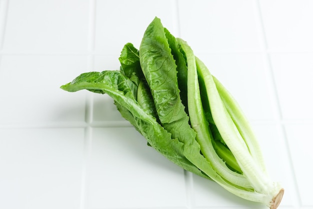 Frische und organische grüne Römersalatblätter auf weißem Hintergrund Bild mit selektivem Fokus
