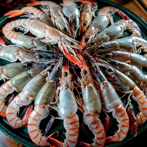 frische und rohe riesige Meeresgarnelen Ansicht von oben Chinesische Küche Zutat für Hotpot
