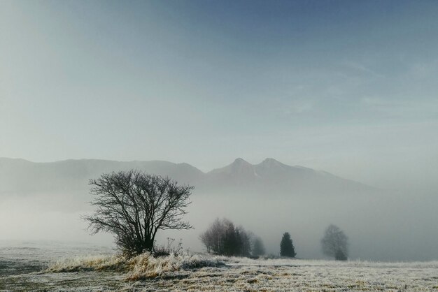 Frische und transparente Luft im slowakischen Naturpark Hohe Tatra Vysoke Tatry