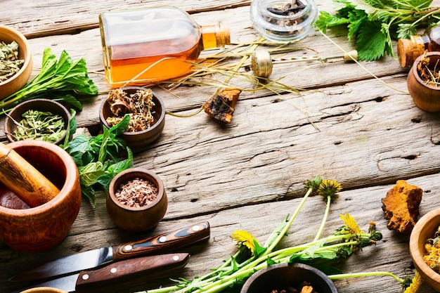 Foto frische und trockene heilkräuter und heilpflanzen. kräutermedizin, homöopathie