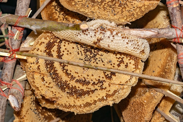 Frische Waben aus der Natur, die zum Verkauf an den Zweigen hängen