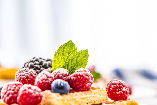 Frische Waffeln mit Beerenzuckerpuder und Minzblättern.