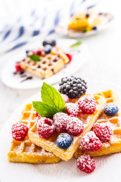 Frische Waffeln mit Beerenzuckerpuder und Minzblättern.