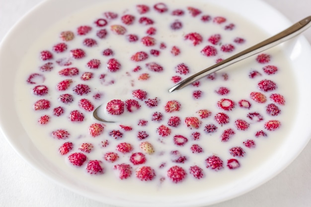 Frische Walderdbeeren mit Milch in einer weißen Schüssel. Leichte Sommerjause.