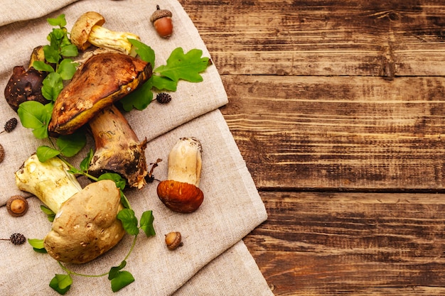 Foto frische waldpilze. verschiedene gourmet-steinpilze und steinpilze