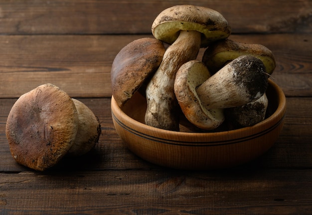 Frische Waldsteinpilze in einem Holz