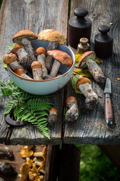 Frische wilde Pilze auf altem rustikalem Holztisch