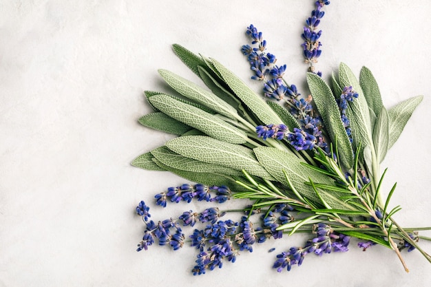 Frische würzige Kräuter Salbeiblätter Lavendel und Rosmarin