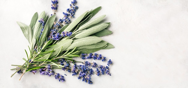 Frische würzige Kräuter Salbeiblätter Lavendel und Rosmarin