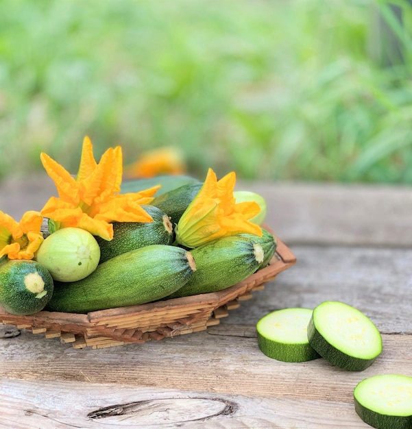 frische Zucchini, ein Sommergemüse aus dem Garten eines Bauern