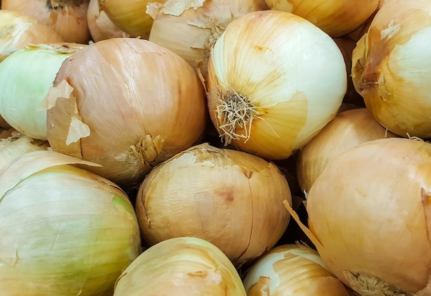 Frische Zwiebeln auf dem Markt