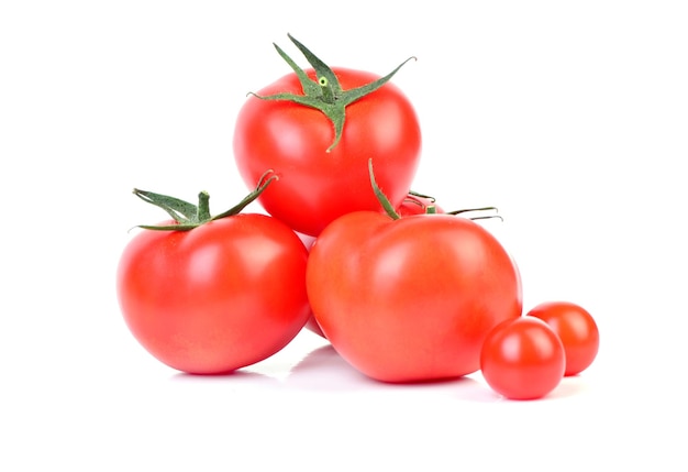 Frischen Tomaten