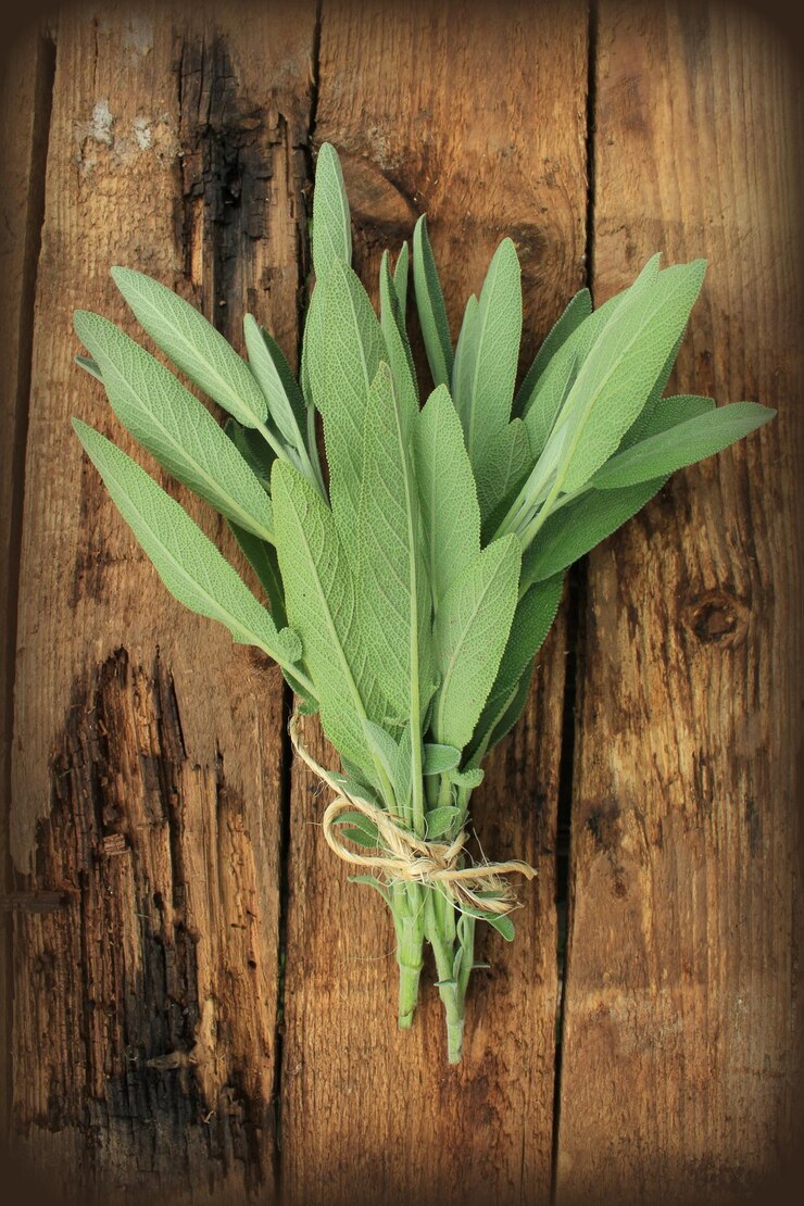 Foto frischer aromatischer salbie auf altem holzhintergrund