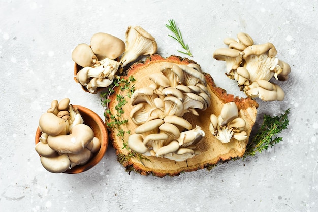 Frischer Bio-Maitake-Pilz auf einem Steintisch Draufsicht