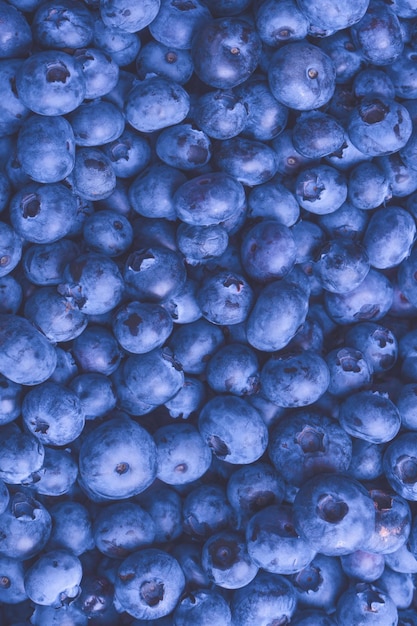 Frischer Blaubeer-Hintergrund Textur Blaubeerbeeren aus der Nähe