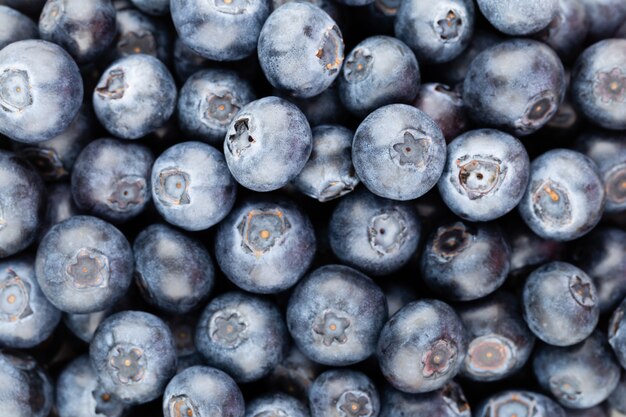 Frischer Blaubeerhintergrund mit Kopierraum für Ihren Text. Randgestaltung. Veganes und vegetarisches Konzept. Makrotextur von Blaubeerbeeren. Sommer gesundes Essen. Banner.