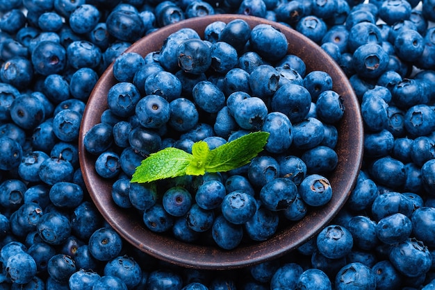 Frischer Blaubeerhintergrund.