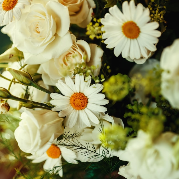 Frischer Blumenstrauß der weißen Rose und des Kamillen-Abschlusses oben