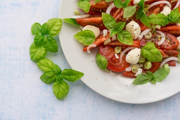 Frischer Caprese-Salat mit hellgrünen Basilikumblättern auf blauem Hintergrund