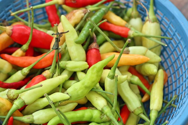 Frischer Chili