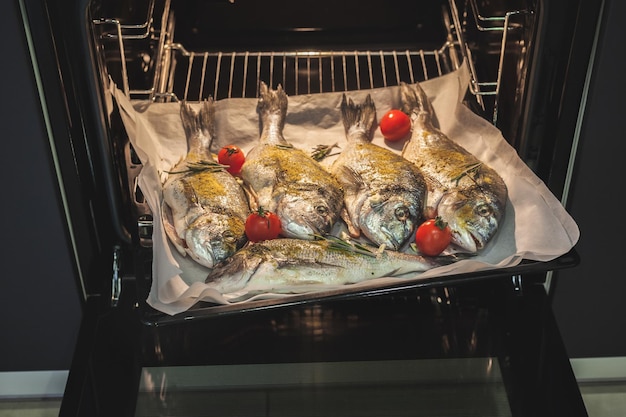 Frischer Dorado-Fisch auf einem Backblech bereit zum Backen im Ofen