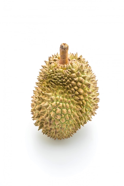 frischer Durian auf weißem Hintergrund