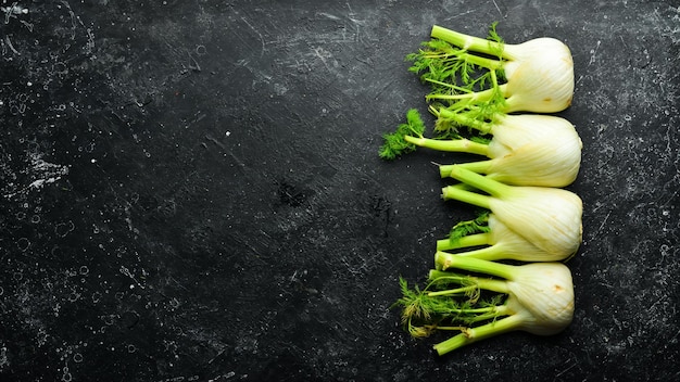 Foto frischer fenchel auf schwarzem steinhintergrund. bio-lebensmittel. ansicht von oben. freiraum für ihren text.