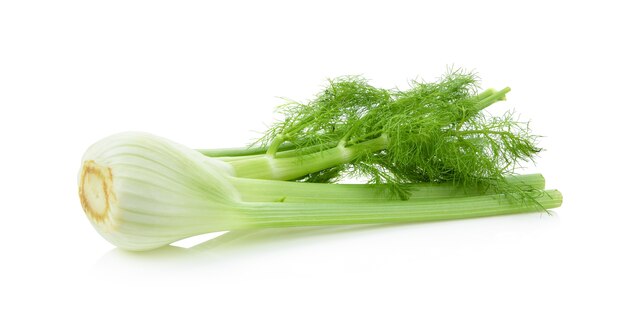 Frischer Fenchel lokalisiert auf einem weißen Hintergrund