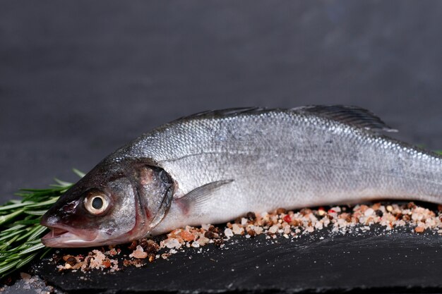 frischer Fisch an Bord, Seebarsch