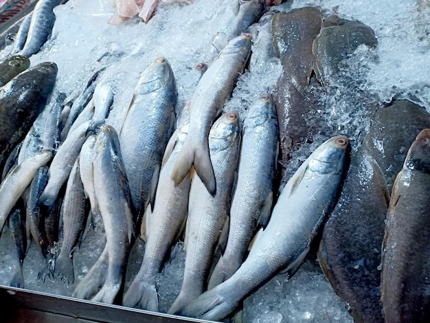 Frischer Fisch auf dem Fischmarkt