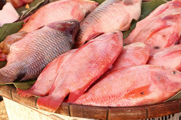 frischer Fisch auf dem Markt