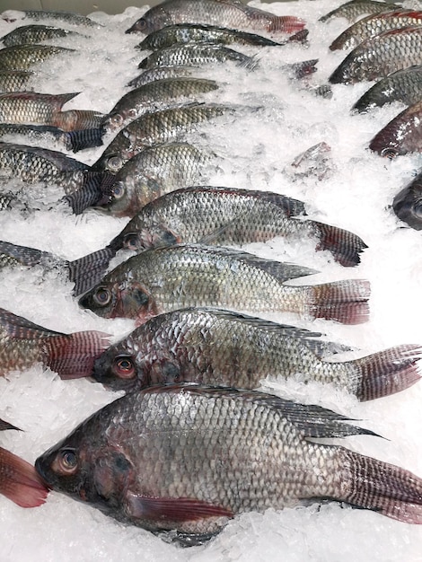 Frischer Fisch auf Eis auf dem Fischmarkt