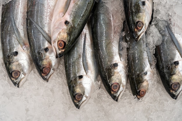 Foto frischer fisch auf eis im frischmarkt