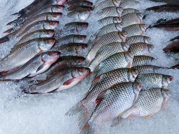 Frischer Fisch auf Eisregal am MarktAnzeige zum Verkauf in Eis gefüllt im Supermarkt Es handelt sich um eine Art Süßwasserfisch, der normalerweise als Nahrungsquelle gezüchtet wird