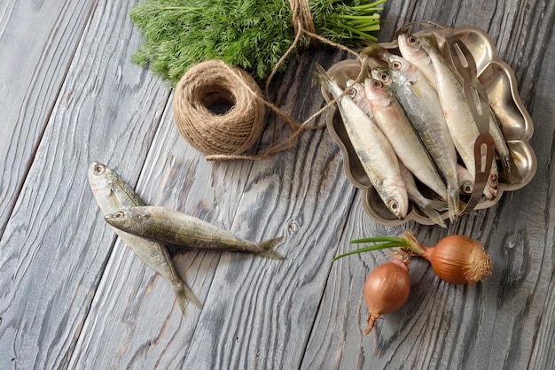 Frischer Fisch boops Nahaufnahme