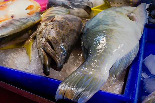 Frischer Fisch hautnah auf dem Fischmarkt