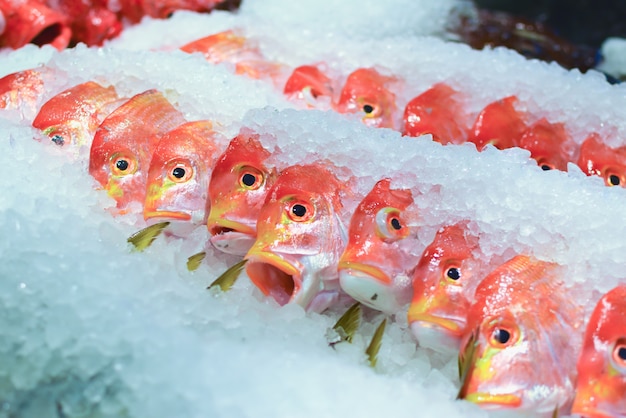 Frischer Fisch Kinmedai (Splendid alfonsino) im Markt auf Eis.