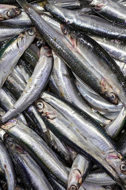 Frischer Fisch zum Verkauf an der Fischertheke