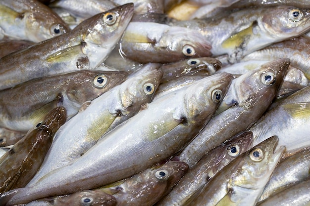 Frischer Fisch zum Verkauf an der Fischertheke